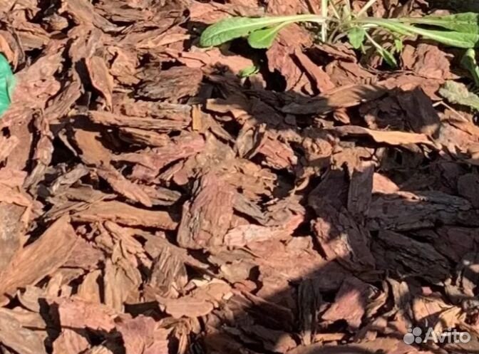 Кора лиственницы с доставкой в Львовском