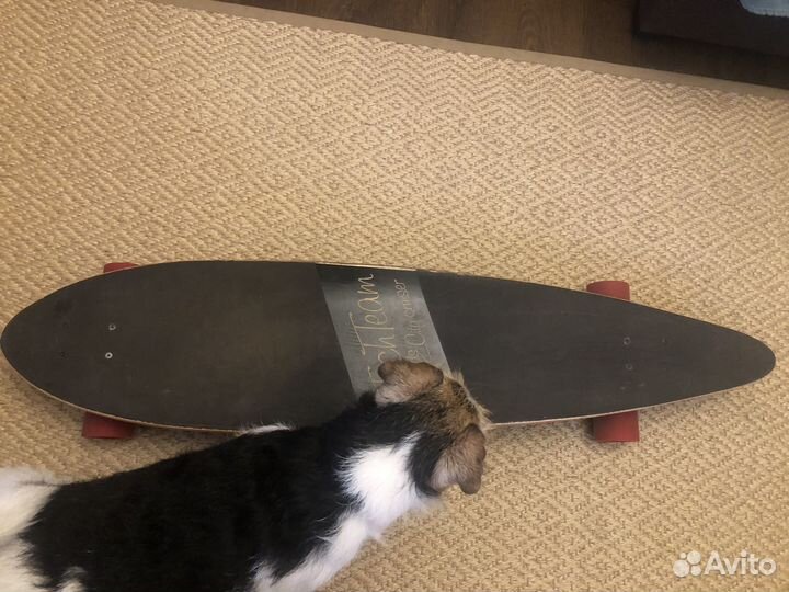 Лонгборд City Cruiser