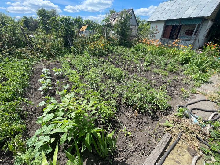 Участок 3,5 сот. (ИЖС)