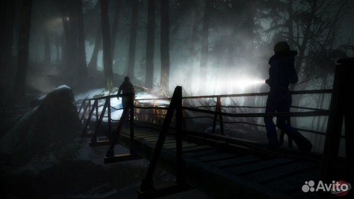 Диск Дожить до рассвета PS4 / Новый