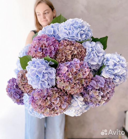 Букет-Гигант из Гортензий. Доставка/Самовывоз