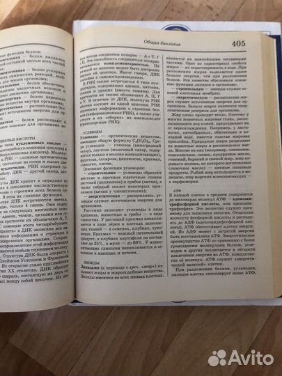 Большая школьная энциклопедия