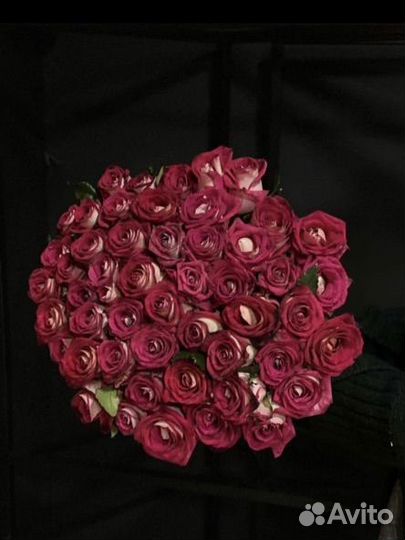 Большой букет из 51 редкой импортной розы