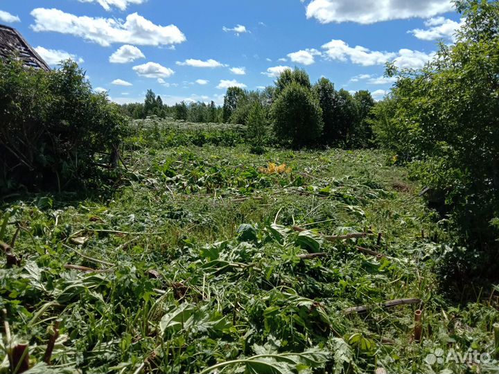 Покос травы