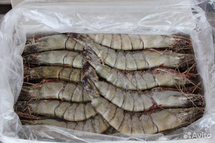 Лангустины. Креветки