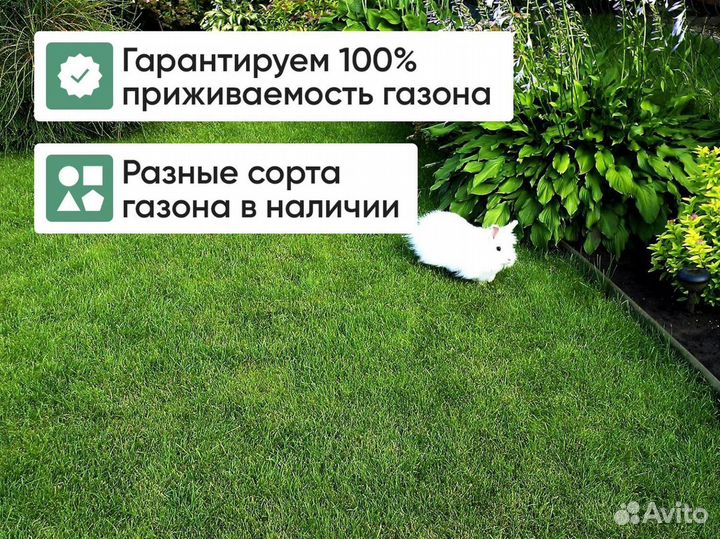 Рулонный газон от производителя