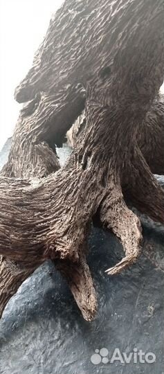 Декорация для аквариума из настоящего дерева