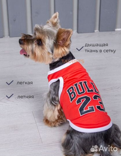 Новая майка для собак