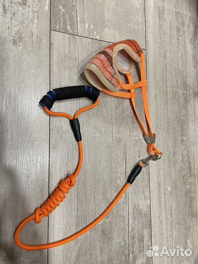 Шлейка с поводком для кошек и собак