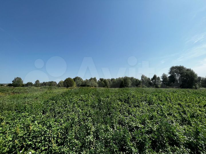 Участок 36 сот. (ИЖС)