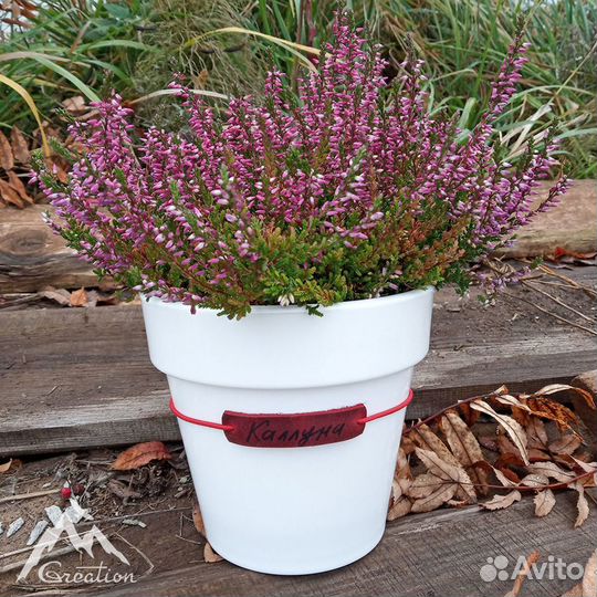 Бирки и шильдики