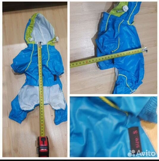 Одежда обувь для собак