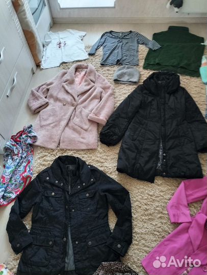 Пальто, куртка, плащ-цена за все