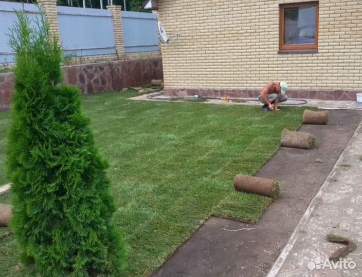 Рулонный газон премиальный (Укладка)