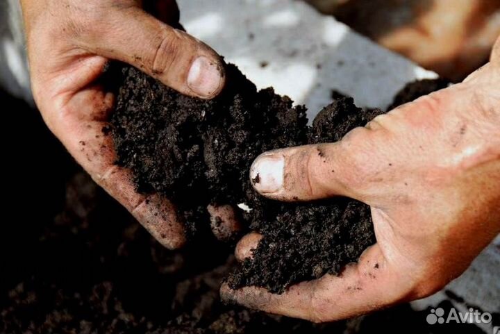 Грунт плодородный