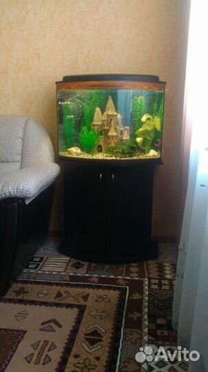Аквариум 130 л новый с гнутым стеклом