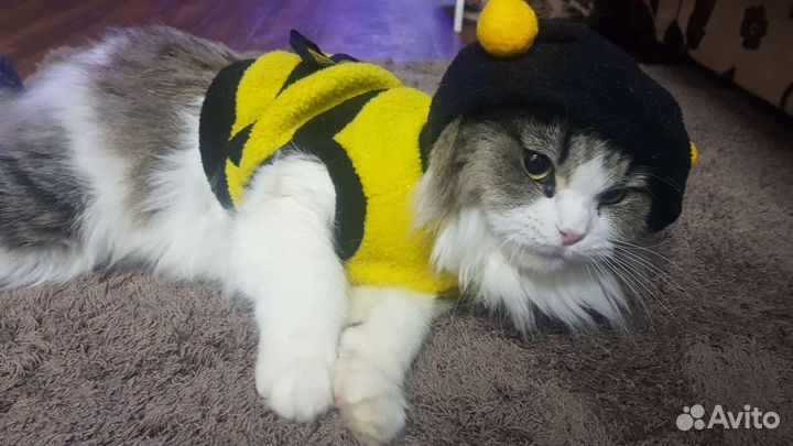 Костюм для животных