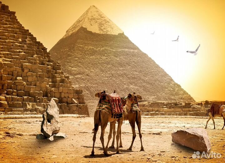 Путешествие в Egypt на 6 дн