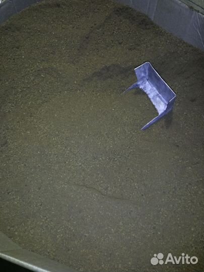 Чага березовая от сборщика