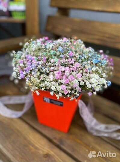 Цветы гипсофила букет