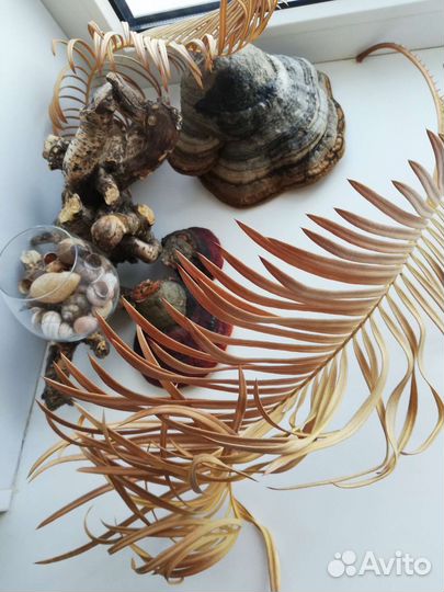 Для творчества (цена за все)