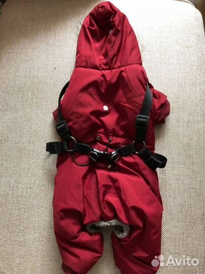 Комбинезон для собаки