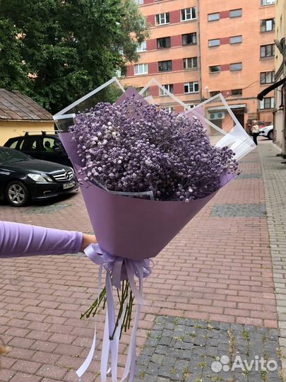 Букет из 9 фиолетовых гипсофил