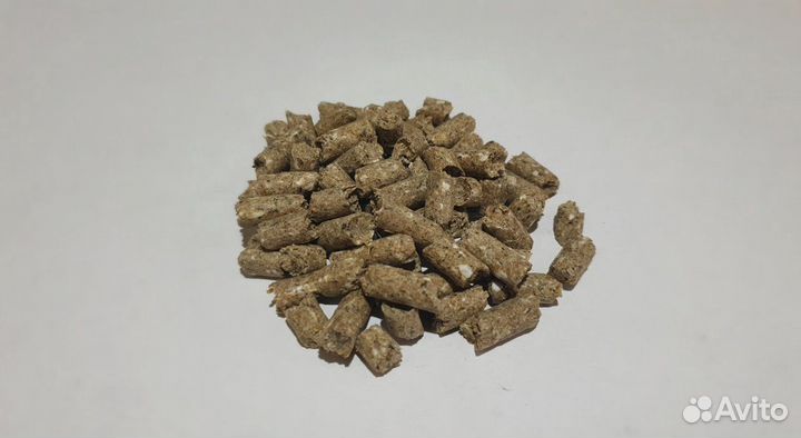 Комбикорм для свиней гост Алгрейн