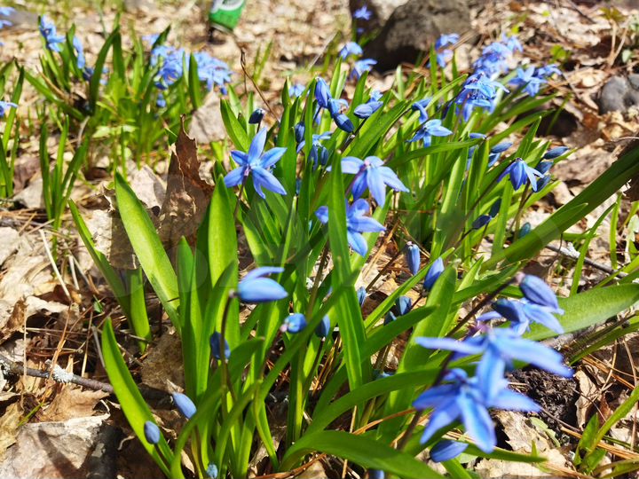 Дача 70 м² на участке 7 сот.