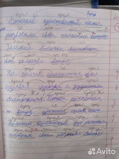 Репетитор русский яз, матем 0-9 кл