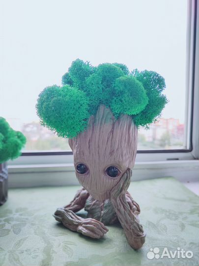 Грунт, кашпо, декор для интерьера, в подарок