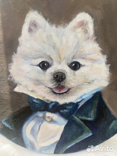 Ох какой же милый портрет шпица