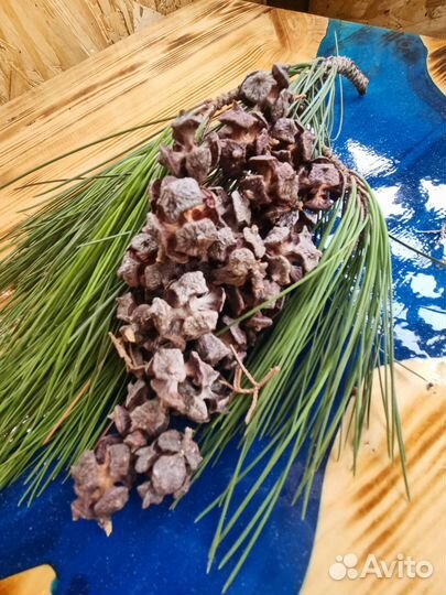 Шишки кипариса, цена за набор 40 шт