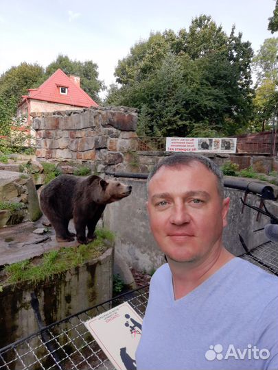 Ремонт стиральных и посудомоечных машин