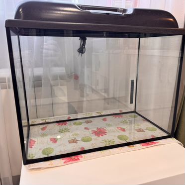 Аквариум 60 л Прямоугольный с крышкой и лампами