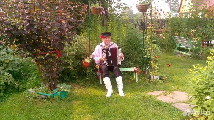 Баянист-вокалист