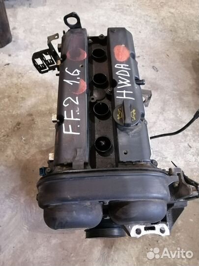 Двигатель Форд Фокус 2 1,6 hwda