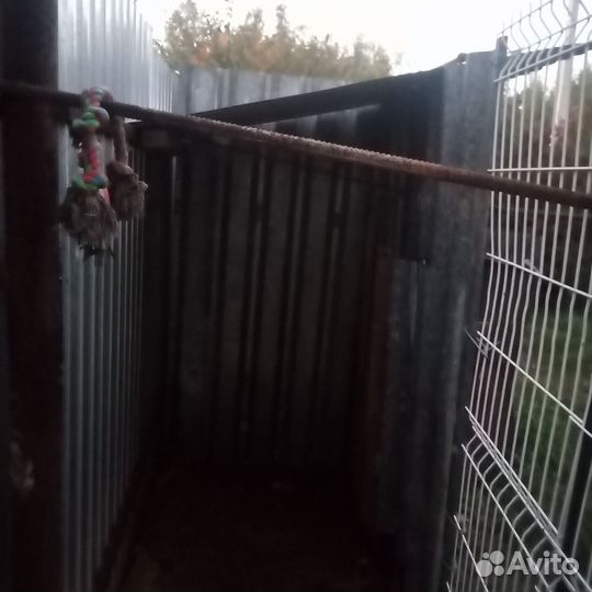 Вольер для собак