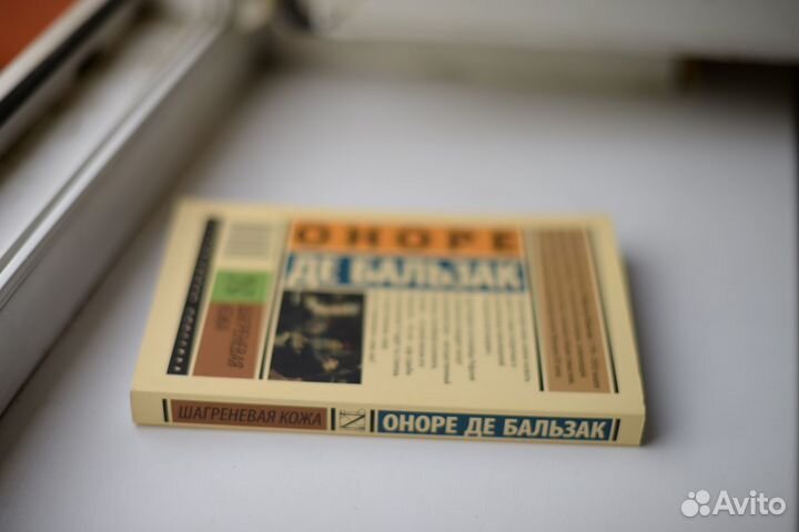 Шагреневая кожа Бальзак