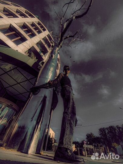 Фотосессия