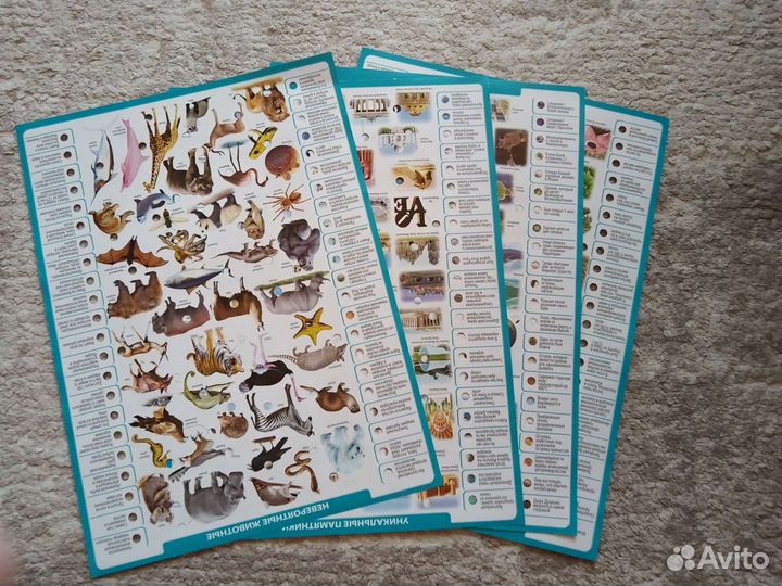 Conector Энерго викторина