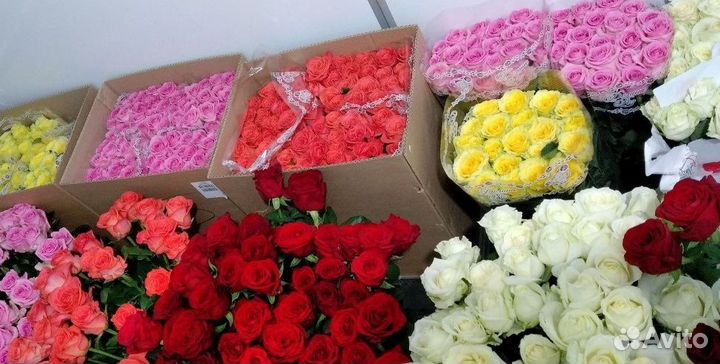 Цветы розы оптом и в розницу
