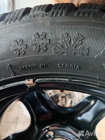 Tigar Ice 205/55 R16 94