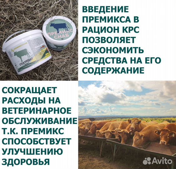 Премикс для высокопродуктивных коров