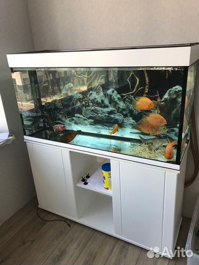 Аквариум