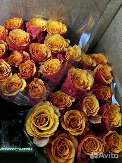 Букет голландских роз