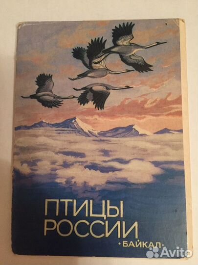 Набор открыток СССР. Птицы России