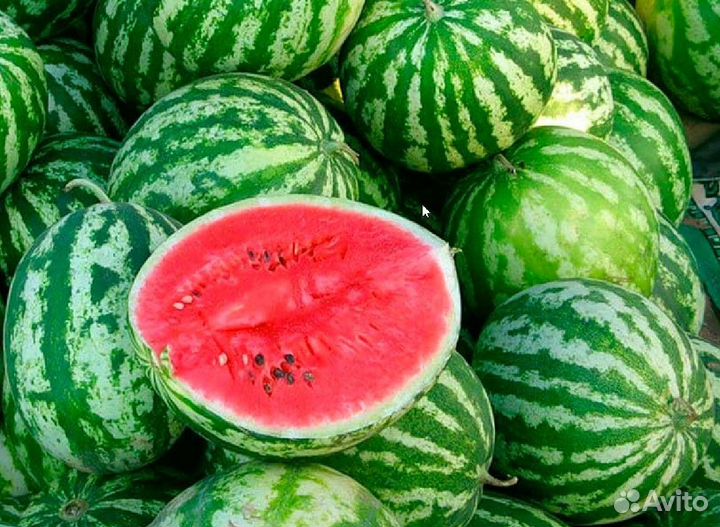 Арбузы