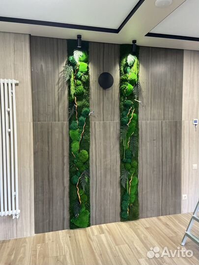 Стены из мха. Озеленение. Фитопанель. Декор. Мох