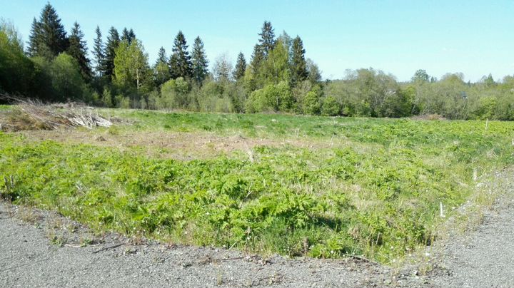 Участок 22,5 сот. (СНТ, ДНП)